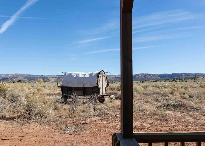 Cowboy At The Wild West 40 Homestead