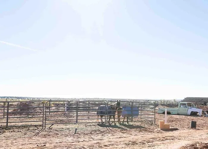 Cowboy At The Wild West 40 Homestead *